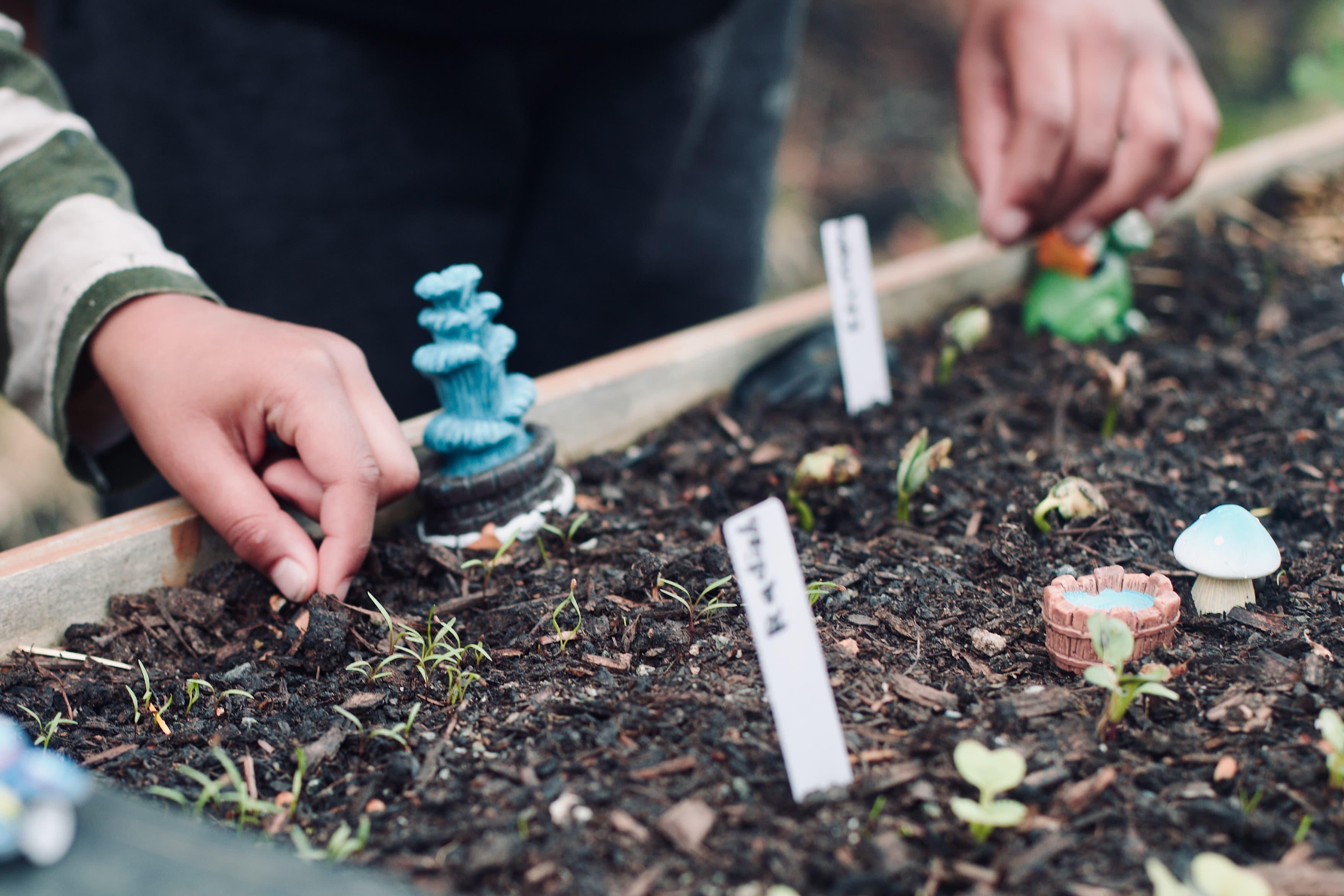 Kids add fun decorations to a small garden bed filled with young sprouts. It’s a hands-on way My Petit Garden helps families connect with nature and start growing their own food. Kids add fun decorations to a small garden bed filled with young sprouts. It’s a hands-on way My Petit Garden helps families connect with nature and start growing their own food.