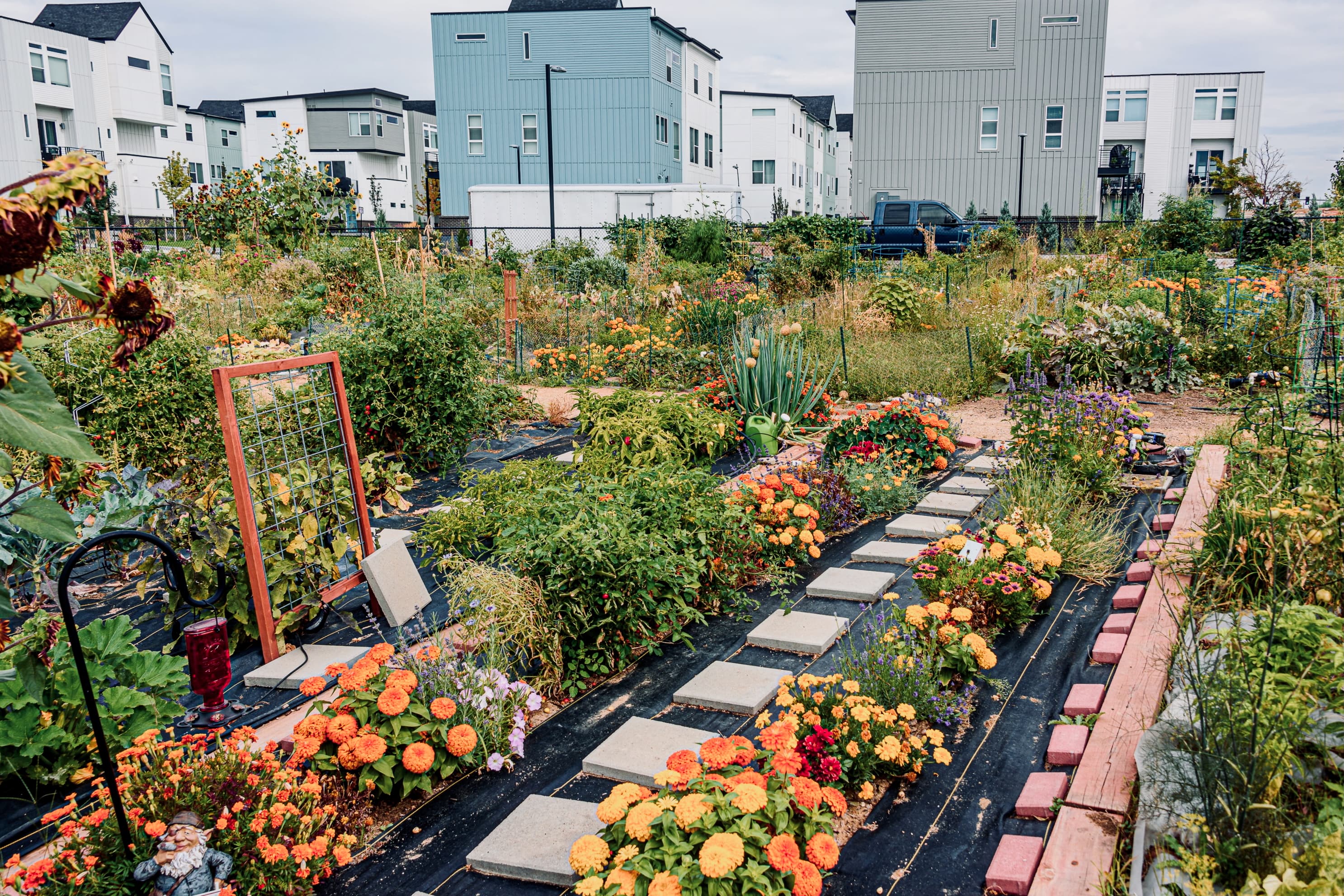 Cultivating Community, One Garden at a Time Cultivating Community, One Garden at a Time